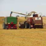 Zweiachs-Dreiseitenkipper Falk DB14 t LF – Bild 13