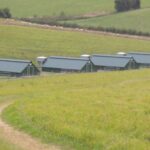 Mobiler Hühnerstall für 650 Hühner 75m2 – Bild 5