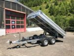 Saris PK Compact Giant 30 Heckkipper