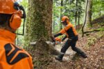 Stihl MS 881 Benzin-Kettensäge – Bild 2