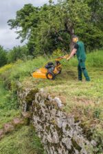 AS 73 4T B&S Wiesenmäher – Bild 3