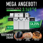 Broil King Regal S 690 Pro IR – Bild 8
