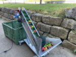 Feucht Obsttechnik Förderband - 1,7m Apfel – Bild 4