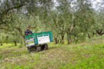 Grillo Raupenkettentransporter DUMPER 507 – Bild 11