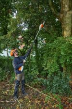 Stihl HTA 66 Hoch-Entaster, ohne Akku und ohne Ladegerät – Bild 4